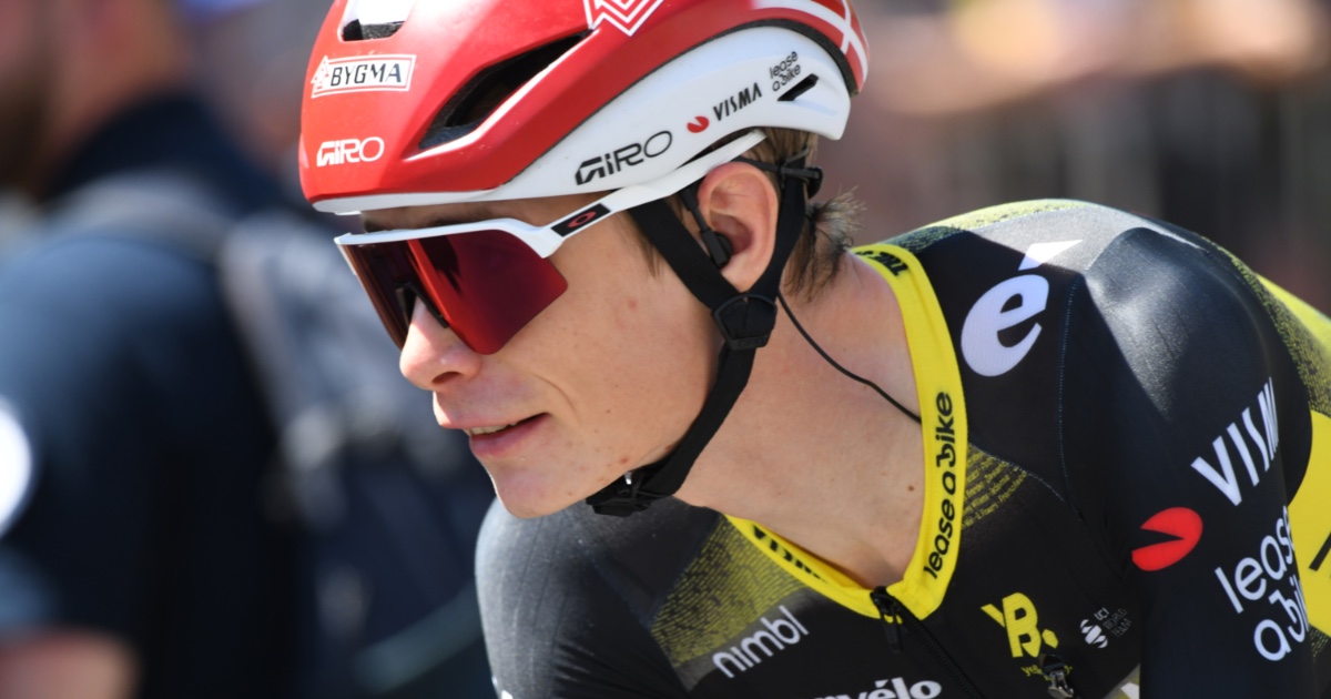 Foto: Rini Kools / Shutterstock.com