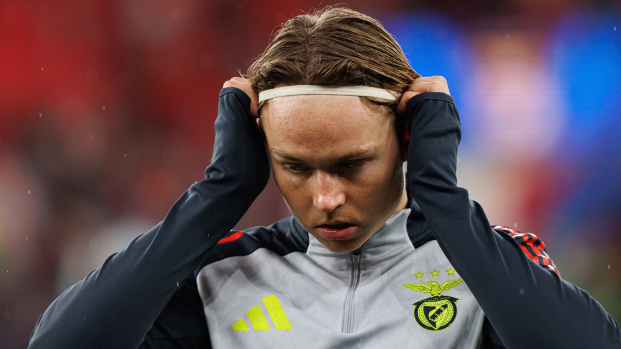 Foto: Maciej Rogowski Photo / Shutterstock.com