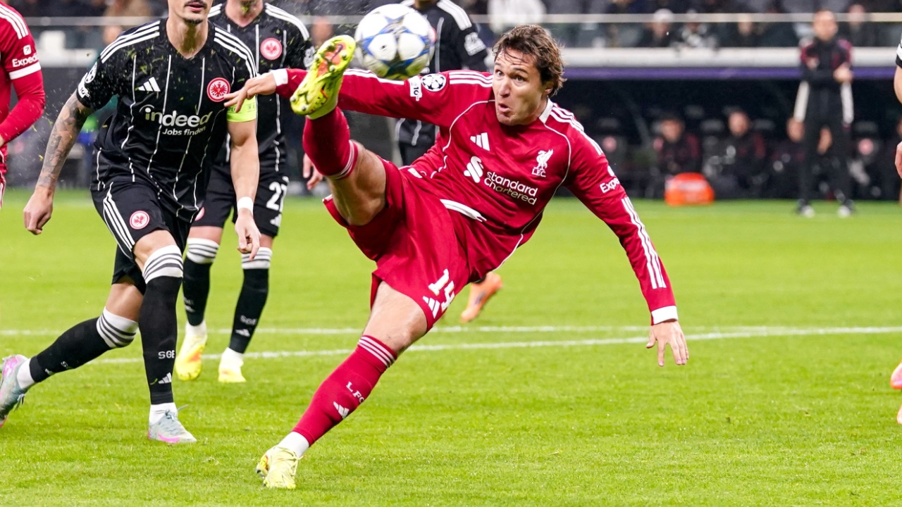 Foto: Orange Pictures / Shutterstock.com