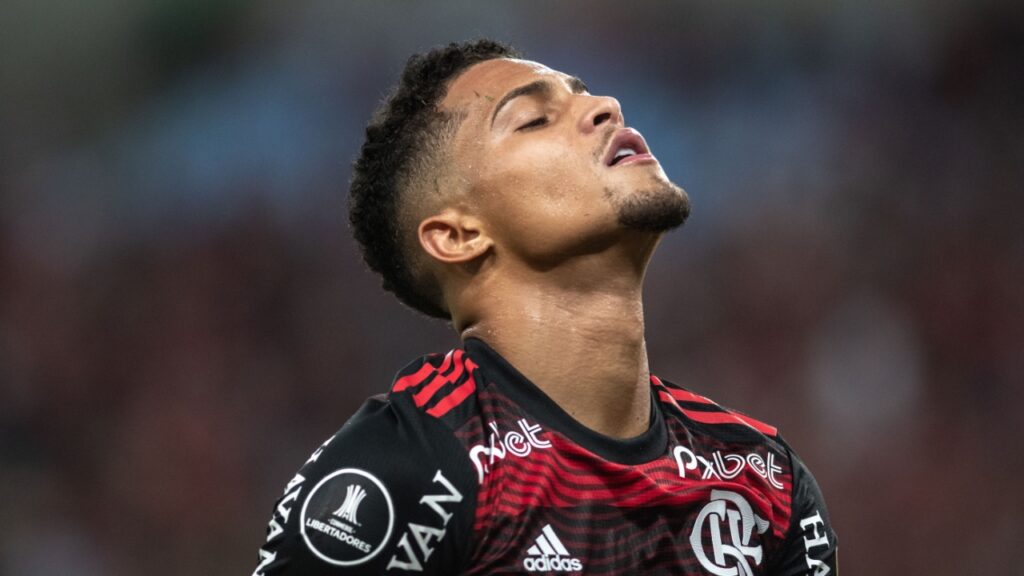 Foto: Celso Pupo / Shutterstock.com