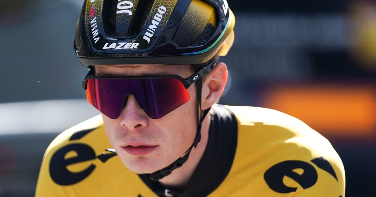 Foto: Gil Corzo / Shutterstock.com