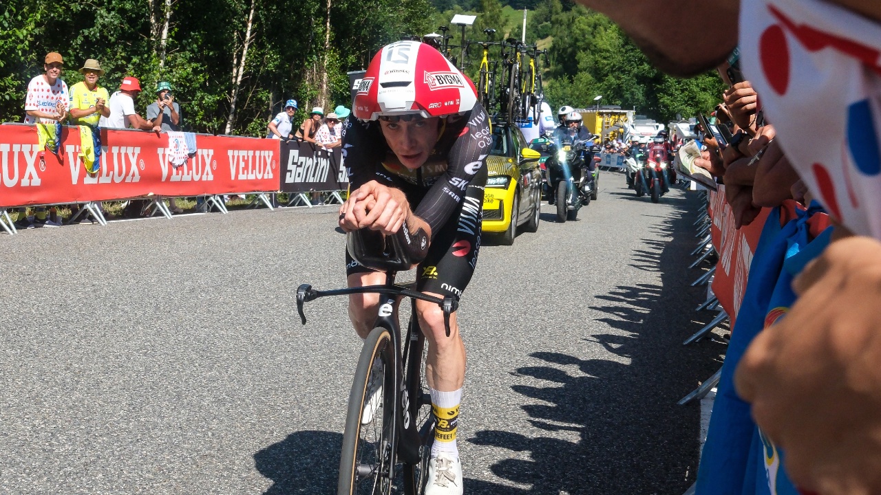 Foto: Gil Corzo / Shutterstock.com