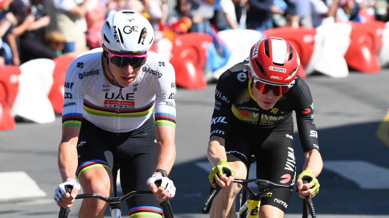 Foto: Rini Kools / Shutterstock.com