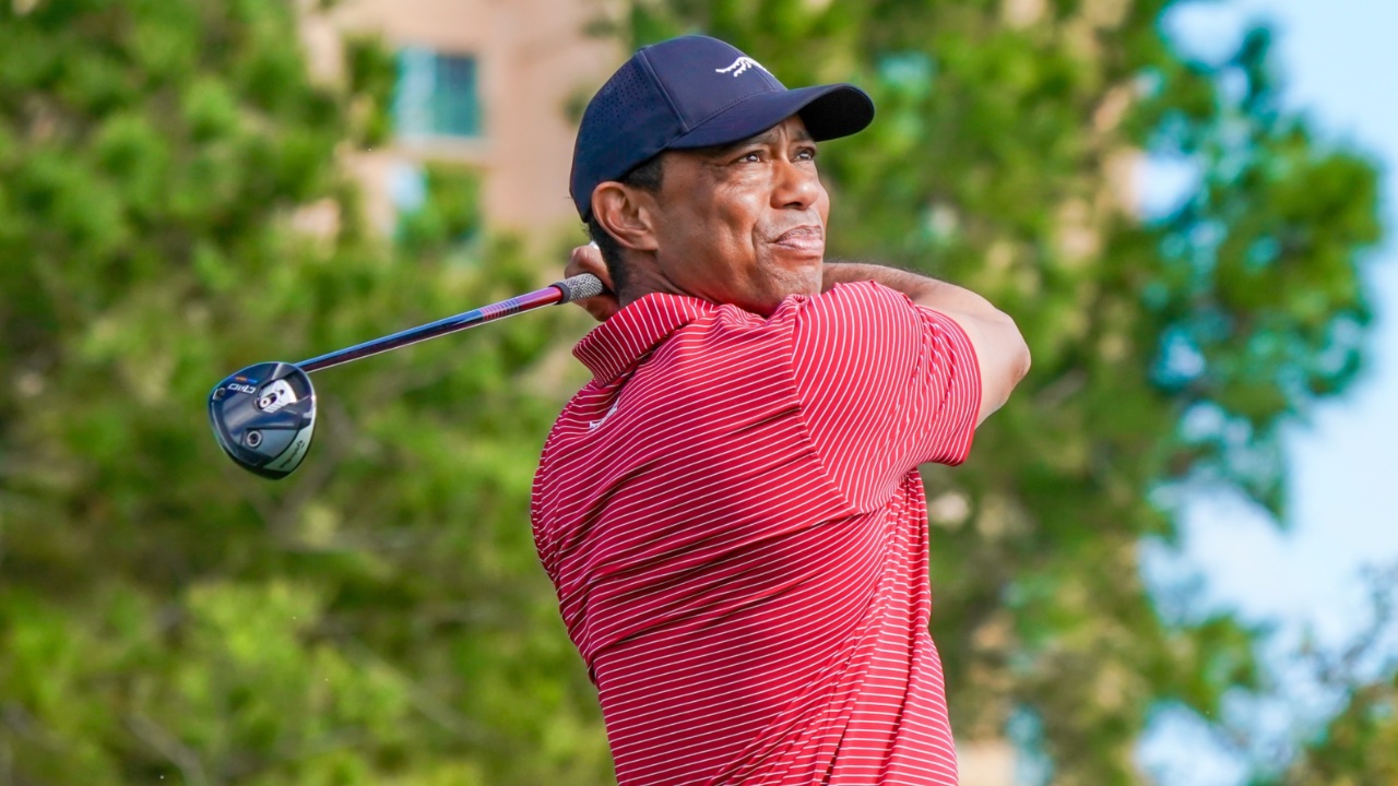 Foto: Debby Wong / Shutterstock.com